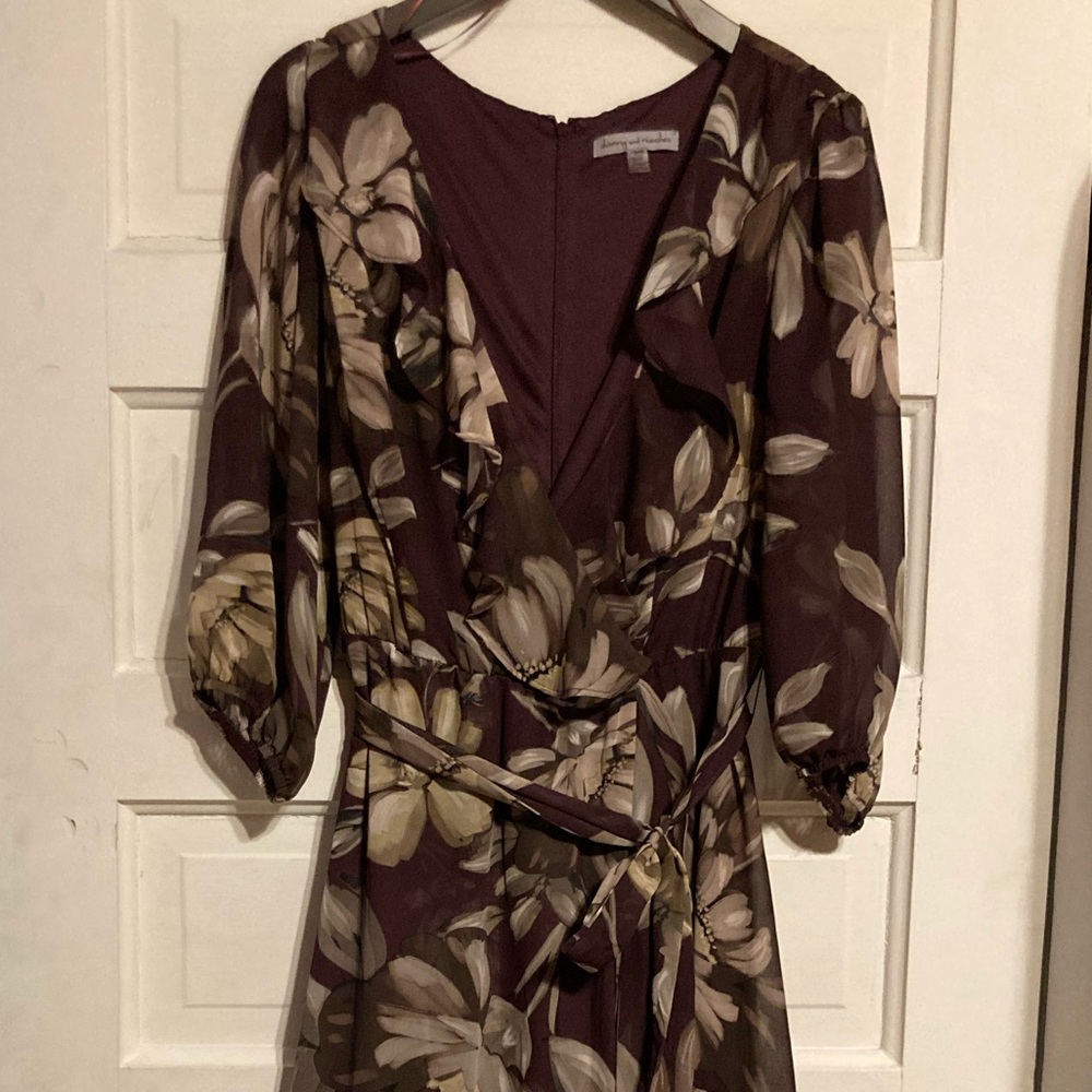 Danny and Nicole Dress Size 14W